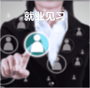 就業(yè)見(jiàn)習(xí)